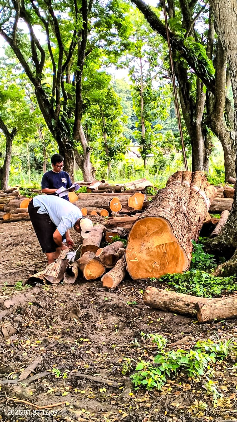 FB_IMG_1741407409419